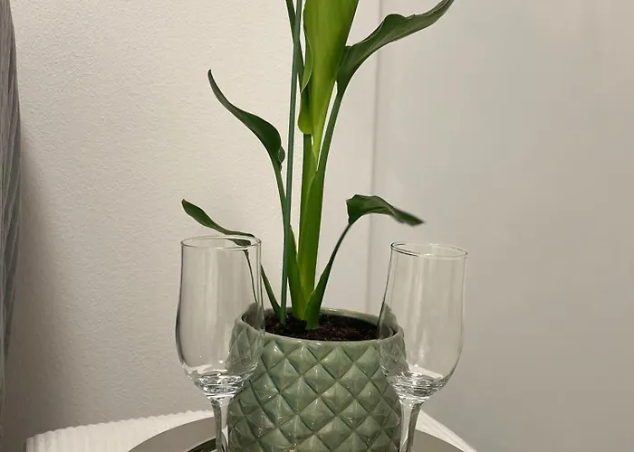 La Gatta - Al Centro Di Apartment La Spezia