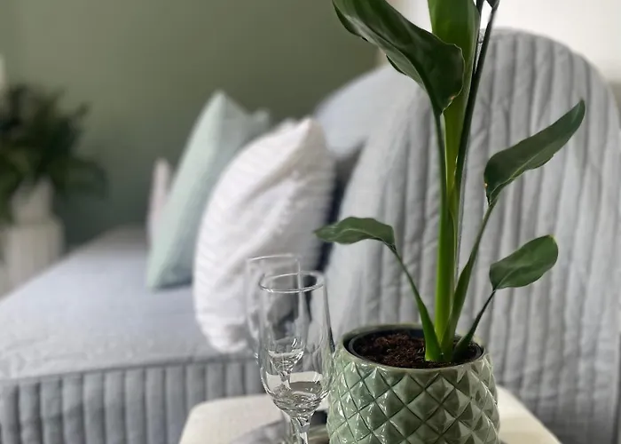 La Gatta - Al Centro Di La Spezia