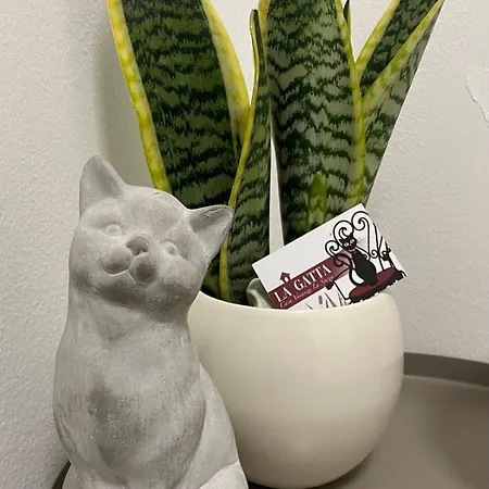 Apartment La Gatta - Al Centro Di La Spezia