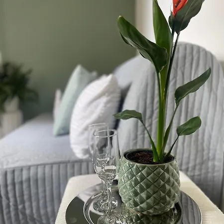 La Gatta - Al Centro Di La Spezia